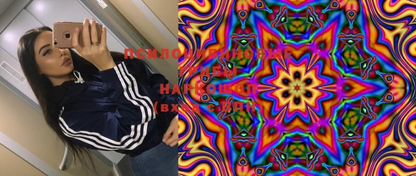 ГАЛЛЮЦИНОГЕННЫЕ ГРИБЫ Киреевск