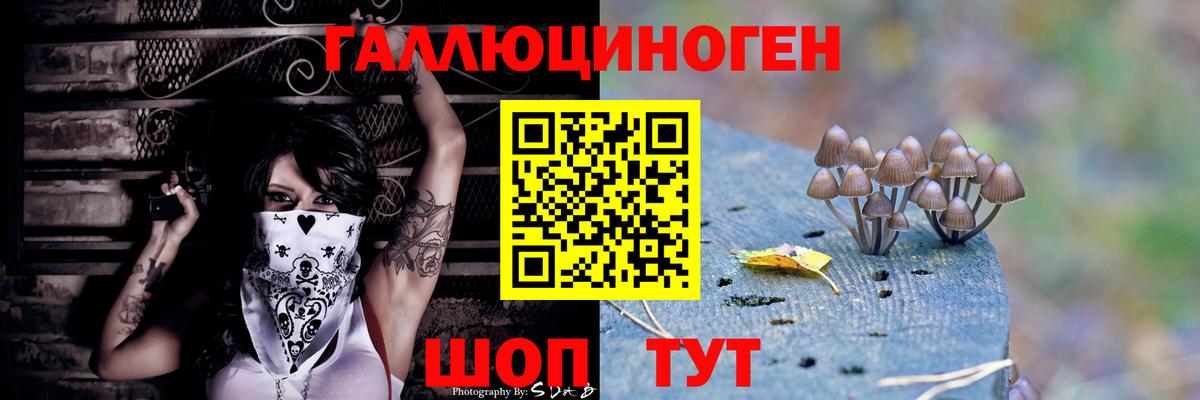 Южно-Сахалинск  Псилоцибиновые грибы прущие грибы  Вход с VPN 